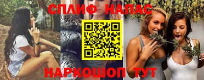 индика Абинск