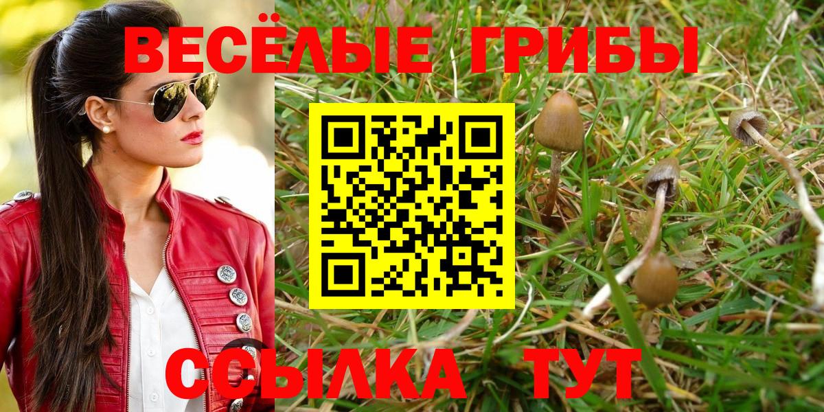 Алексин  хочу   Галлюциногенные грибы Cubensis  Вход с VPN  Галлюциногенные грибы MAGIC MUSHROOMS 