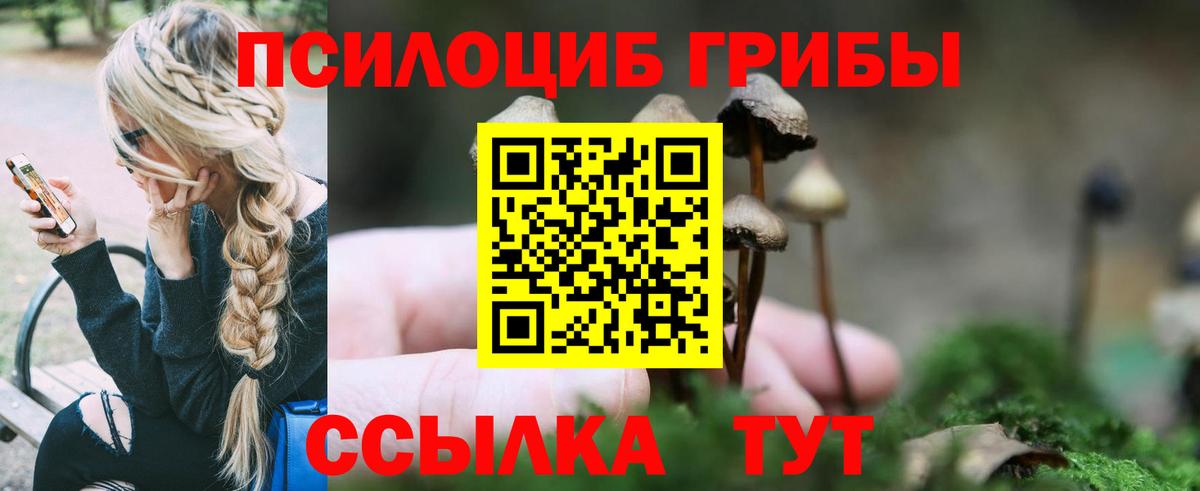 Псилоцибиновые грибы Cubensis Алексин
