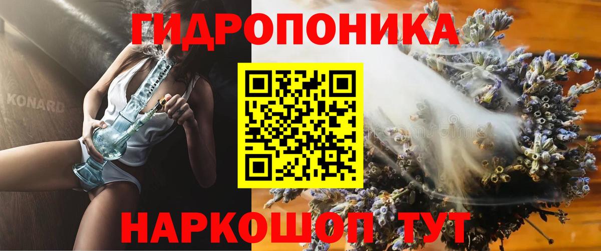 Шишки марихуана марихуана  Вход с VPN  Алексин  Марихуана планчик  Каннабис Amnesia 